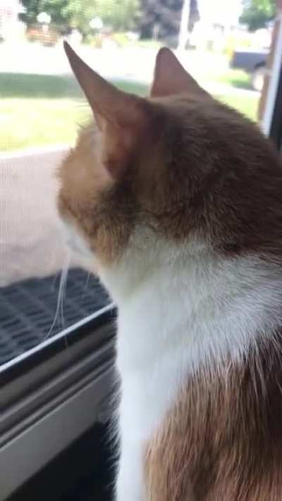 &ldquo;&lsquo;Sup.&rdquo;