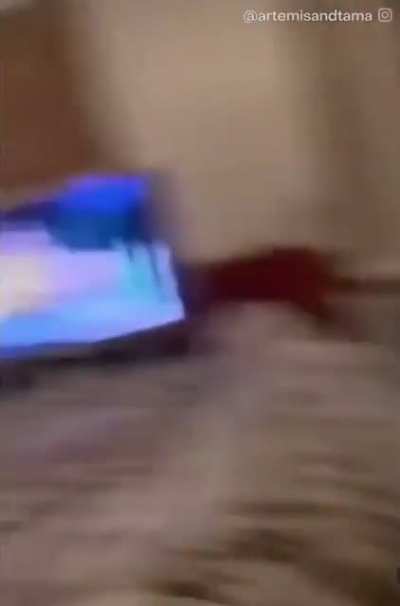 When you say your cat&rsquo;s favorite word