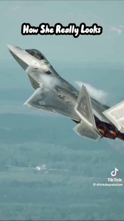 When she&rsquo;s an F-22 but has X-32 self esteem 😔
