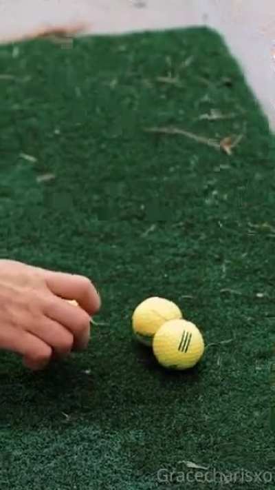 golf is fun