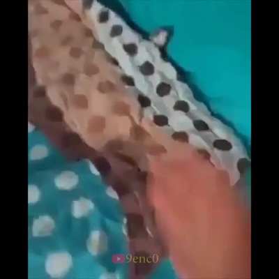 time to wake up