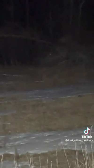 The CIA keeps sending skinwalkers to me since i went off grid