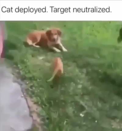 Assassin