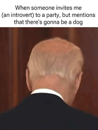 A dog you say?