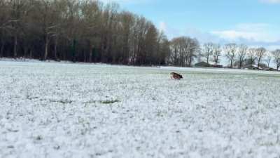 She loves snow