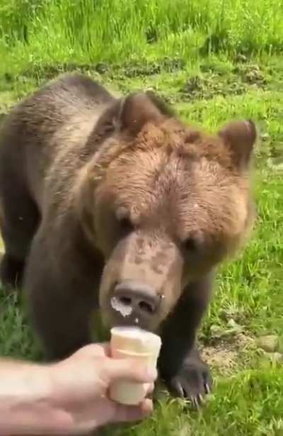 Guy being chased by a bear
