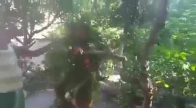 Deputado federal mais votado na Bahia se camufla com folhas para perseguir Lázaro Barbosa