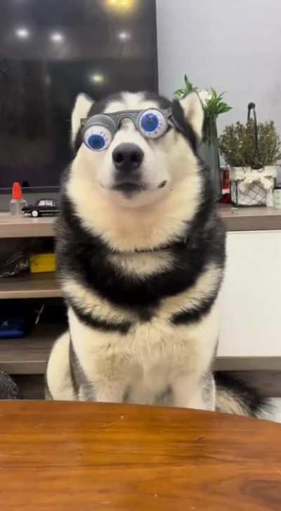 Crazy eyes