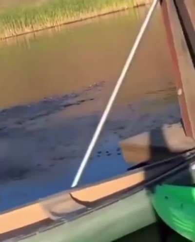 Giro hacia atr&aacute;s con una vuelta annus flip 