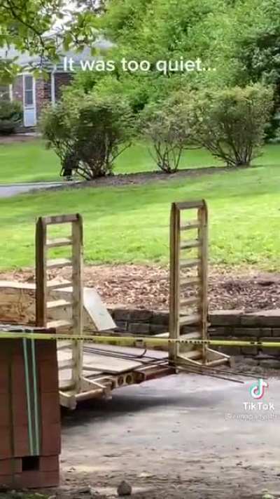 I thought it was a wheelchair at first