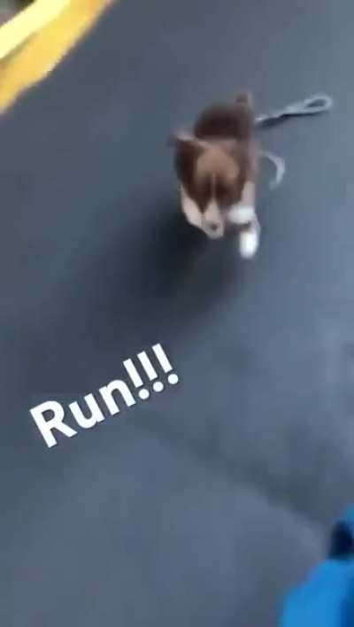 Drop & run