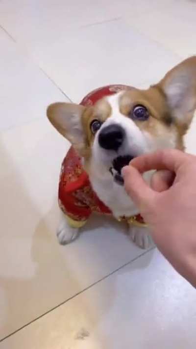 Maybe maybe maybe