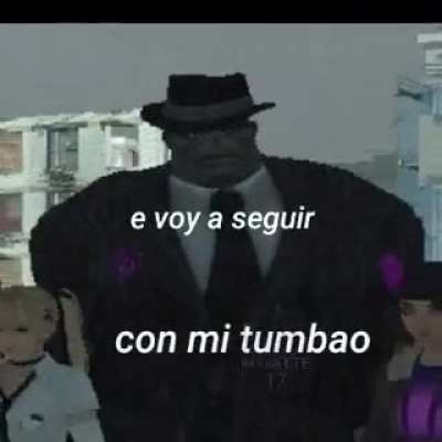 Gato actival??