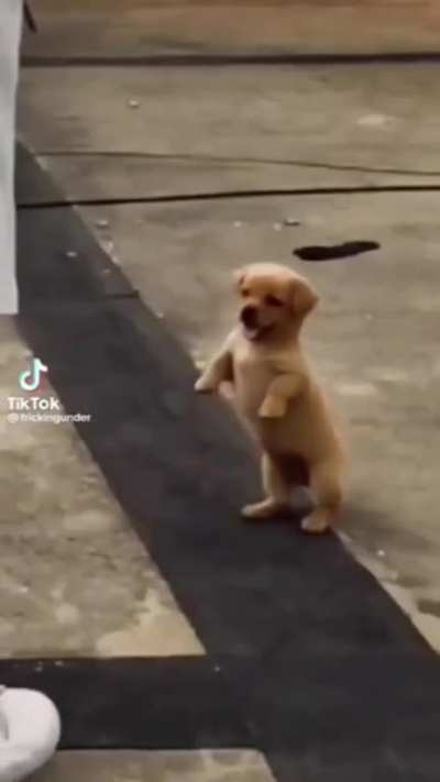 &eth;&macr;