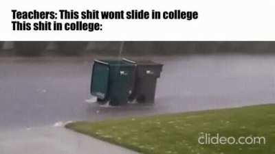 This shit go sonic speed