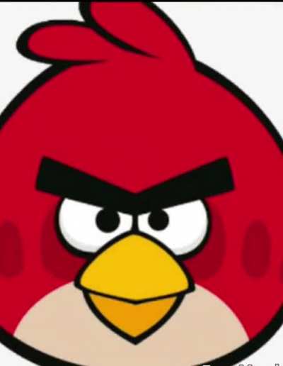 Red birb
