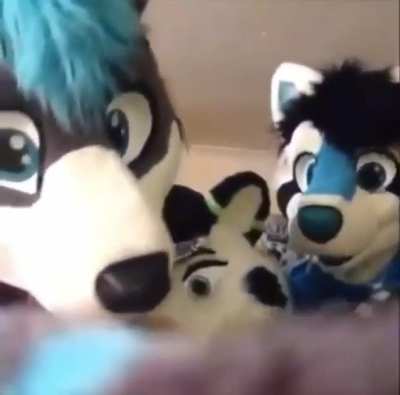 Cool_irl