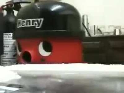 What my vacuum cleaner does when he is home alone.