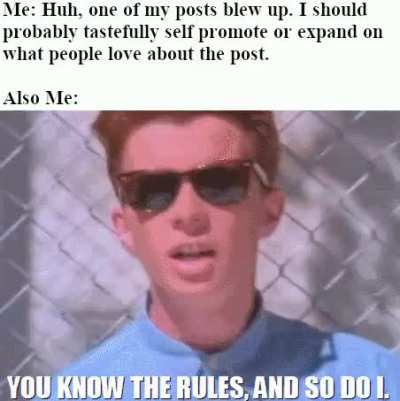 The struggles of shitposting