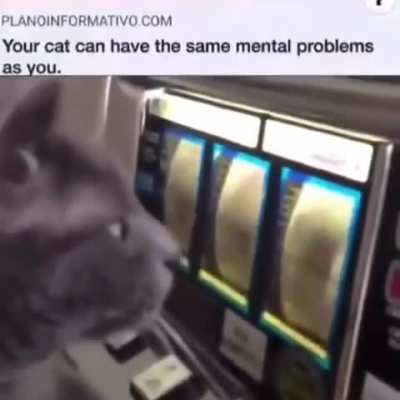 Let&rsquo;s go gambling