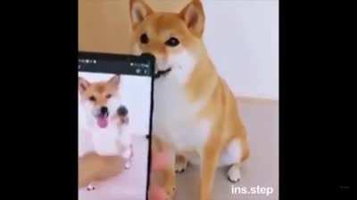 🐕