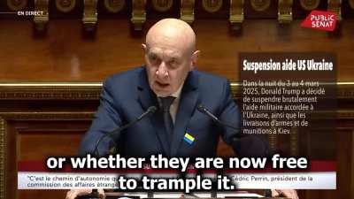 "We Are Fighting Against a Dictator Backed by a Traitor" &ndash; A French Senator Speaks Out