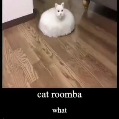 c a t r o o m b a