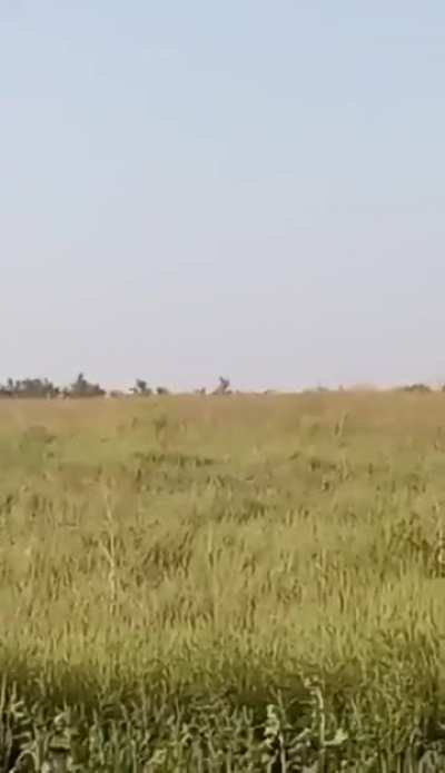 Video of downing russian Ka-52 helicopter in Zaporizhzhia Oblast by soldiers from the 47th Mechanised Brigade
