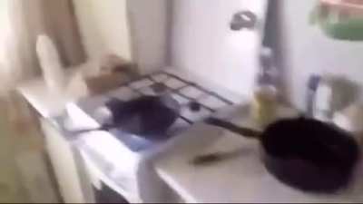 Water + boiling oil