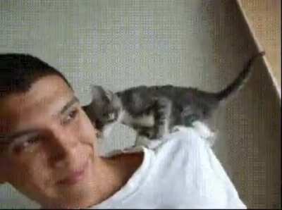 So Sweet Kitty 😍
