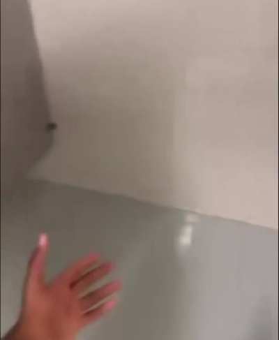 Can&rsquo;t shit in Detroit