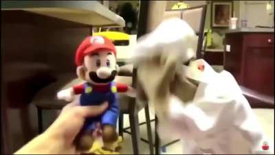 Cluck, cluck motherfucker..