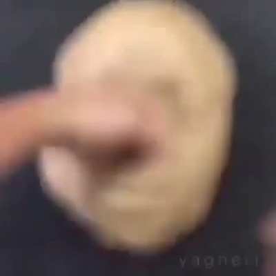 sus