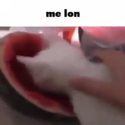 me lon