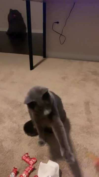She wants the fry but can&rsquo;t have it