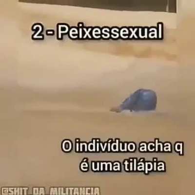 titulo gracioso