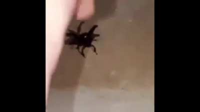 Aa