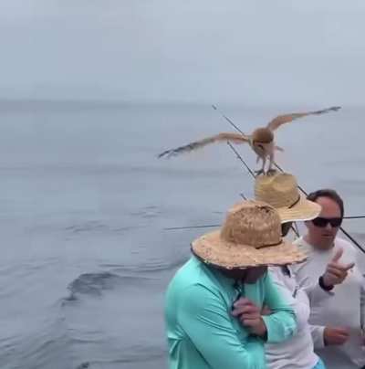 🔥Fisherman Gets Accepted Into Hogwarts