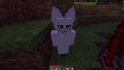 Minecraftkisser