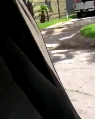 HMC while I take part in the 