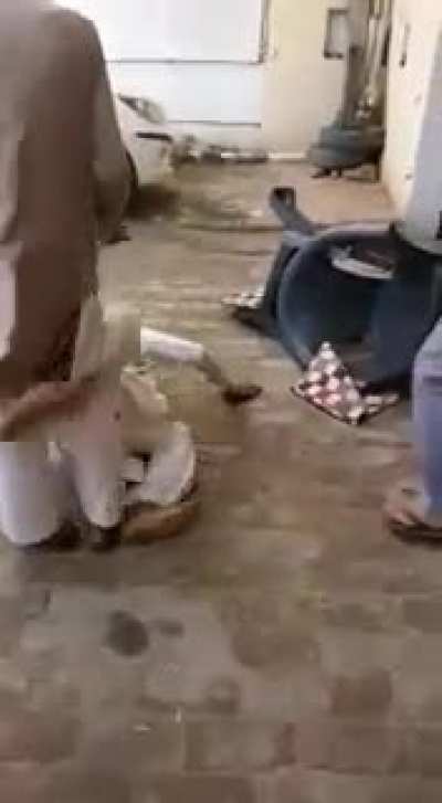 Alcohol or bhaang (mj edible)