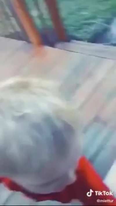 HMJB while I pet your titties