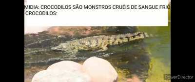 QUE BONITINHO ELE ESCORREGANDO