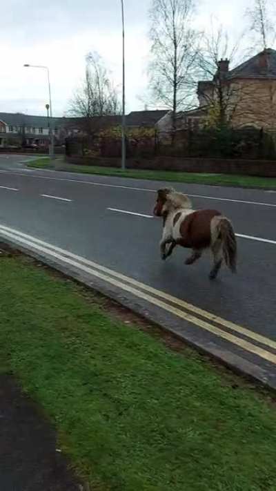 Meanwhile in Cork...