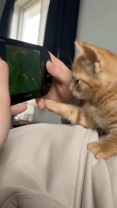 Little Sonny doesn't know handhelds are a mostly single player experience and I don't have the heart to tell him