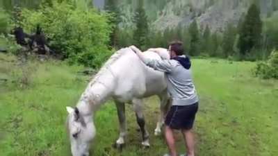 Me the first time trying to tame a wild horse