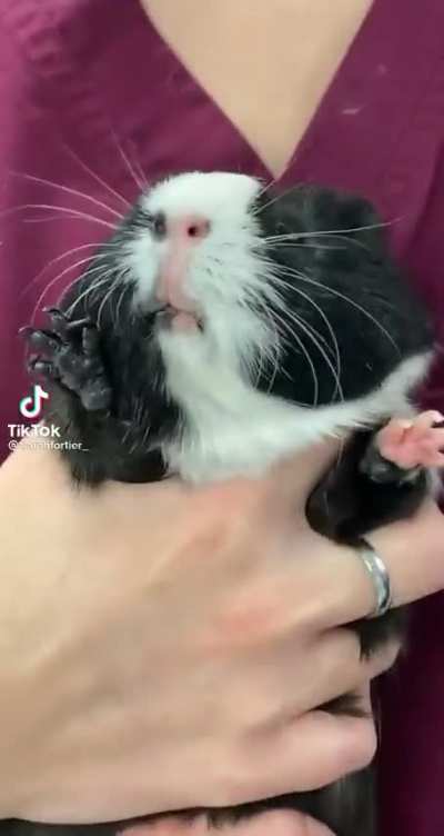 Powering up