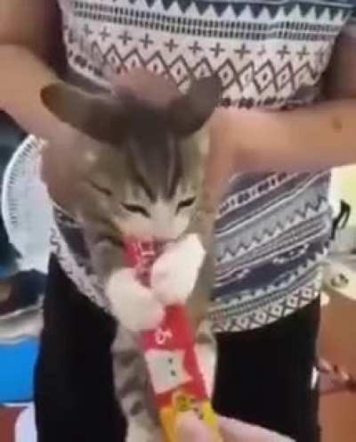 Do not touch my food