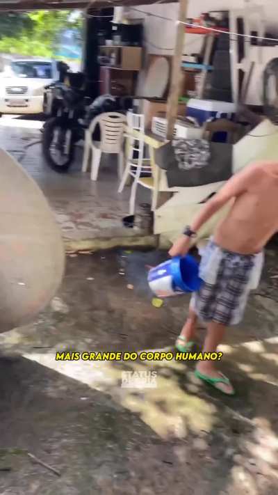 Nossa piro...