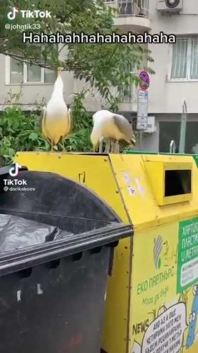 ik🦆👞ihe